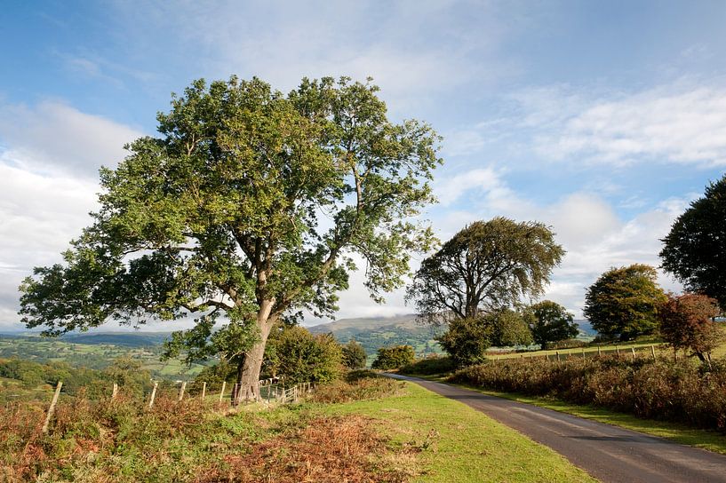 Brecon Beacons Wales by Richard Wareham