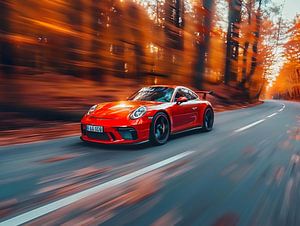 Porsche 911 GT3