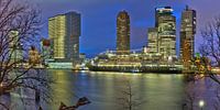 Die Rotterdam mit der MS Rotterdam in Rotterdam