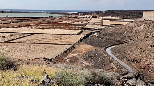 Salinas de Janubio