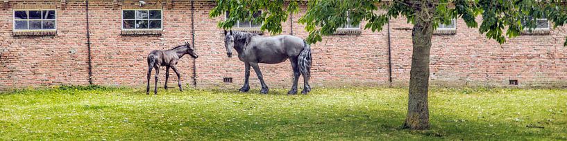 Moeder en kind by Harrie Muis