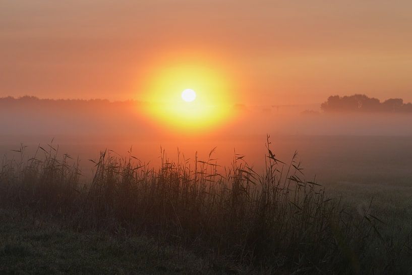 Morning has broken by Dirk van Egmond