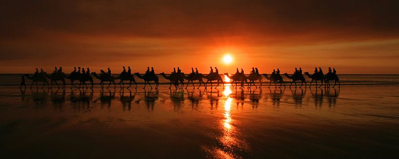 Promenade à dos de chameau au coucher du soleil par Antwan Janssen