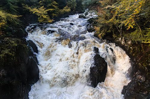 Hermitage ~ River Braan