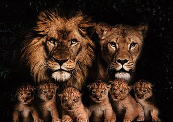 Famille de lions avec 6 lionceaux