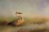 Great Blue Heron Wading Through Water At Sunrise by Diana van Tankeren thumbnail