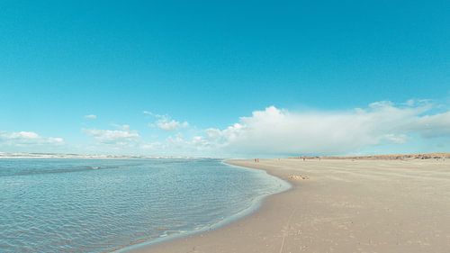 Texel by Jaap de Wit