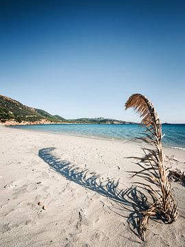 Sardinien - Tuerredda von Alexander Voss