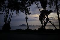  Schaduw van bomen tijdens een zonsondergang in Thailand