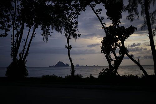 Schaduw van bomen tijdens een zonsondergang in Thailand