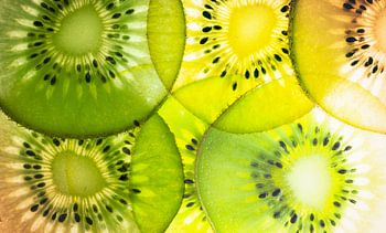 Lichtzauber - Kiwi