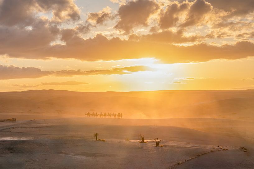Sonnenuntergang in der Wüste bei Marrakech mit Kamelkarawane von Lotte Rietveld