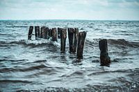 Hout in water