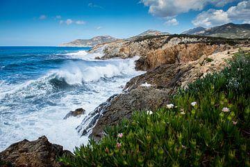 Corsica van Johan Vet