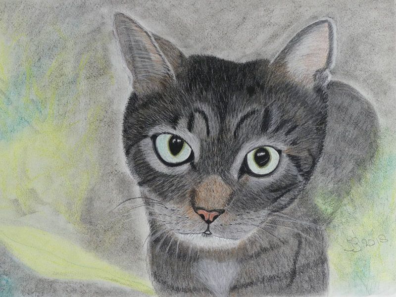 poes Minnie by Jolanda van den berg Thomas