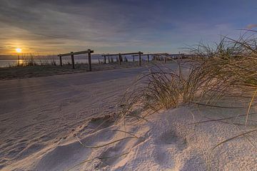 Fietsenstallen in de duinen bij het strand van Den Helder, omringd door zand en helmgras van Bram Lubbers