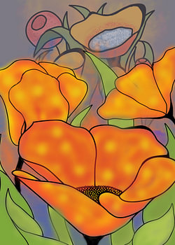 Poppies in Layers