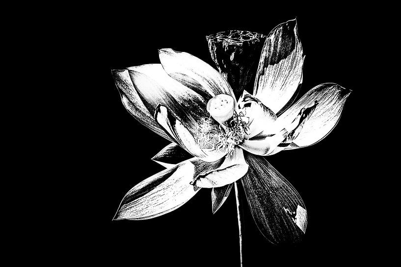 Les Jardins D'eau 11 by Esther Swaager