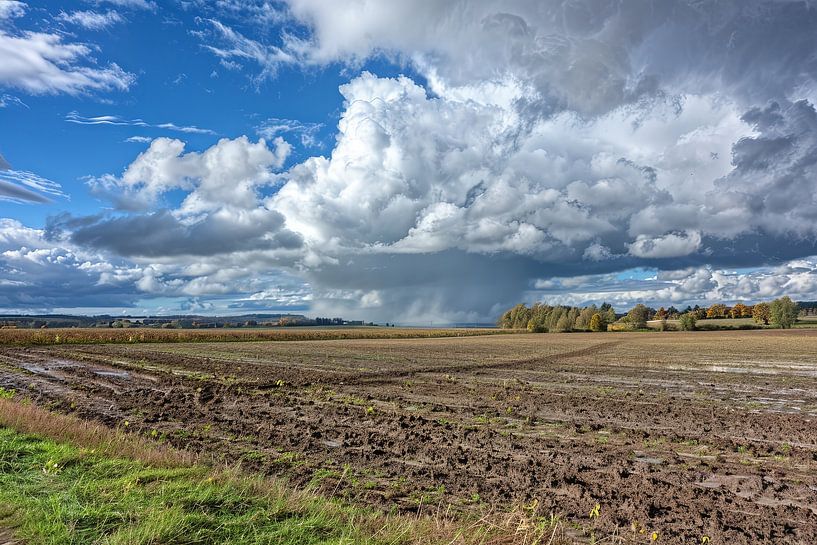 meadow with dramatic cloudscape by Egon Zitter