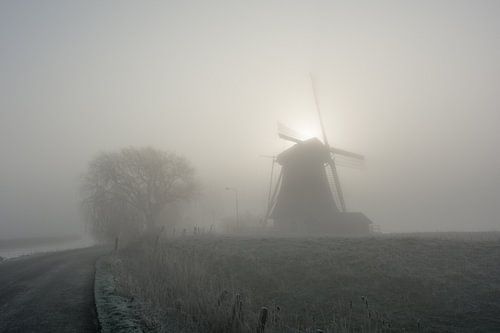 Molen in de ochtend