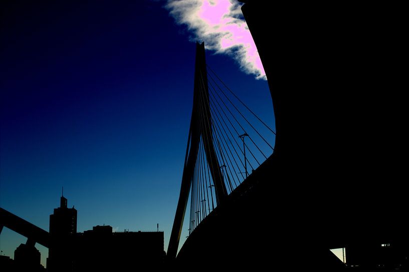 Erasmusbrug by Francisco de Almeida