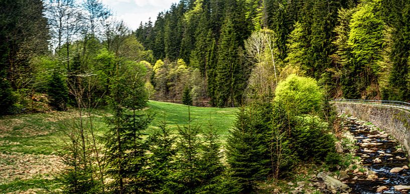 Im Schwarzwassertal im Erzgebirge von Johnny Flash