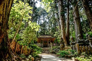 Okunoin cemetery, Koyasan, Japan van H Verdurmen