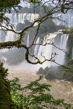 Iguazu watervallen van Peter Leenen