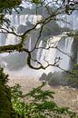 Iguazu watervallen van Peter Leenen thumbnail