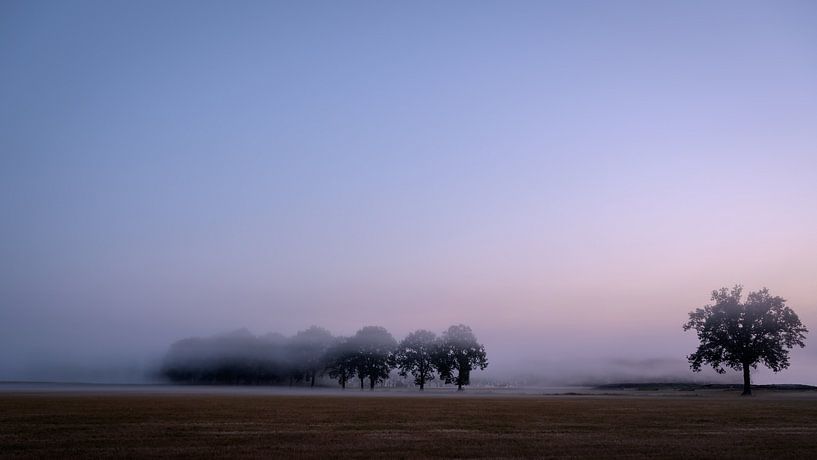 Morgendlicher Nebel im Morgengrauen von Laurents ten Voorde