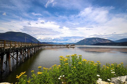 Canada Salmon lake