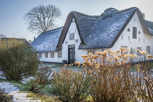 Winter on Sylt: Historical thatched farm in Keitum