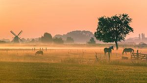 Noorddijk, Groningen, Nederland van Henk Meijer Photography