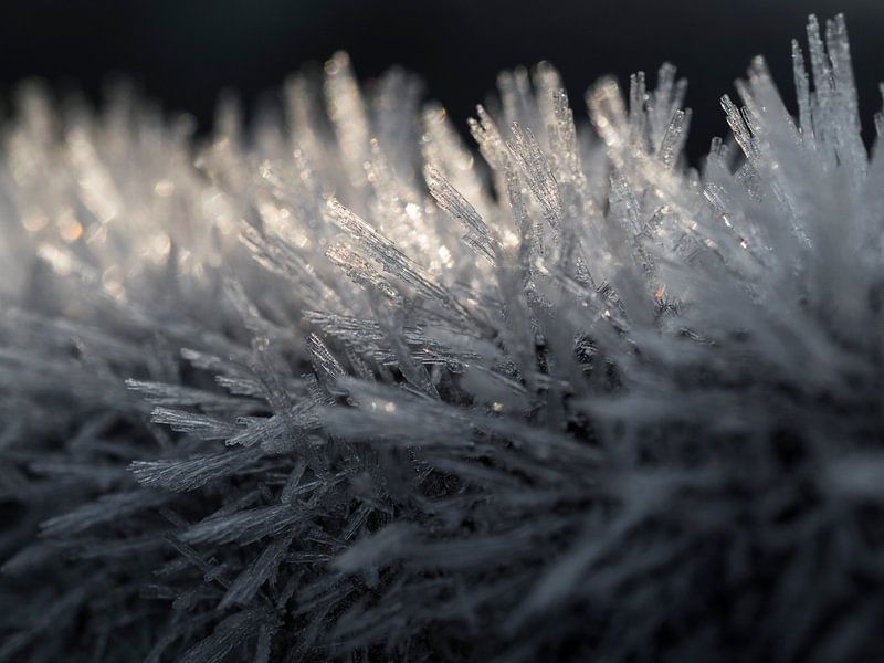 Rough Rime par Laurens de Waard