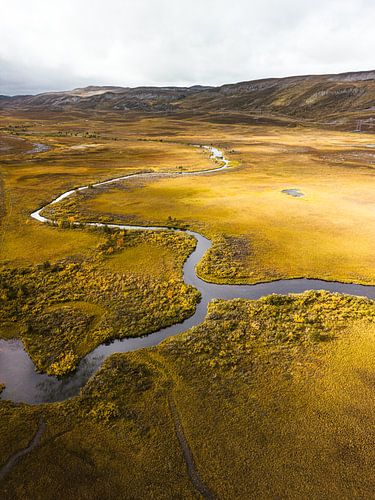 Gouden toendra-serpentijn