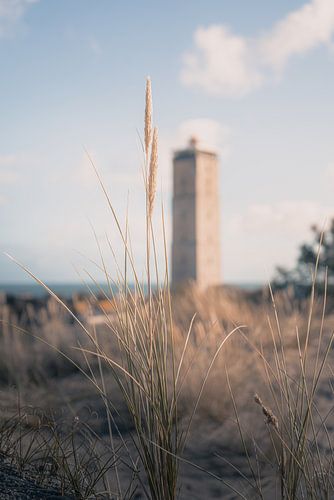 Image classique des îles des Wadden.