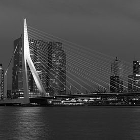 Erasmus Bridge Rotterdam by Havenfotos.nl(Reginald van Ravesteijn)