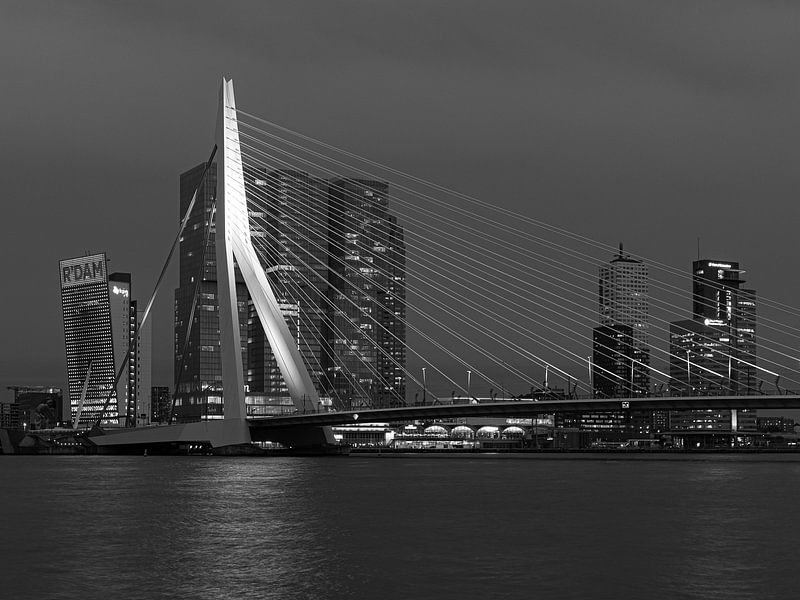 Erasmusbrug Rotterdam van Havenfotos.nl(Reginald van Ravesteijn)