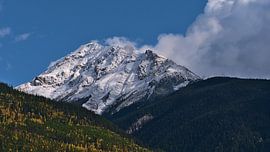 Rockies in autumn by Timon Schneider