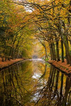 't Oude Hof in Bergen with trees in autumn colours