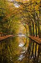 't Oude Hof in Bergen with trees in autumn colours by René Groeneveld thumbnail
