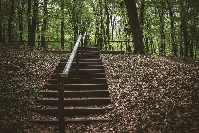 Treppe im Wald von Suzanne Schoepe