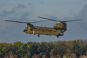 Royal Air Force Boeing CH-47F Chinook.