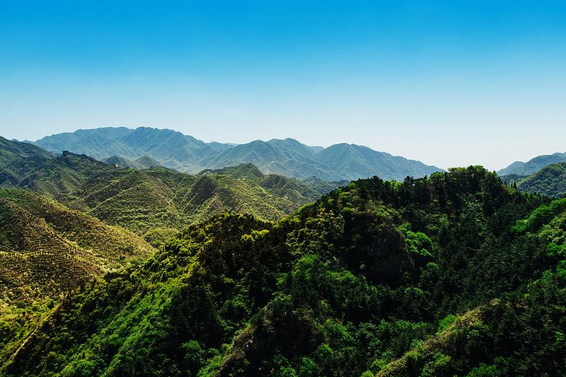 Rainforest landscape by Walljar