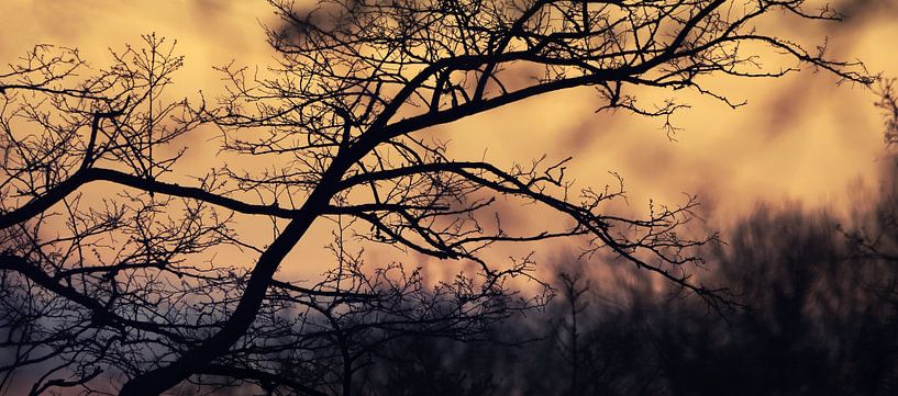 Natur bei Sonnenuntergang von Chi