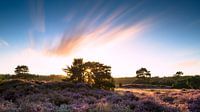 Zonsondergang op de heide