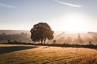 Schloss bei Sonnenaufgang
