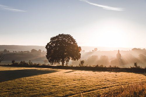 Castle during sunrise