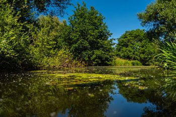 Das Wasser findet immer seinen Weg durch die Natur