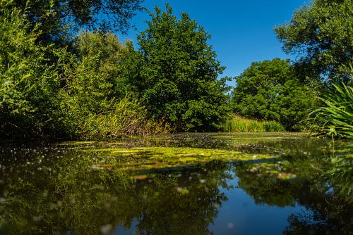 Het water vindt altijd zijn weg door de natuur